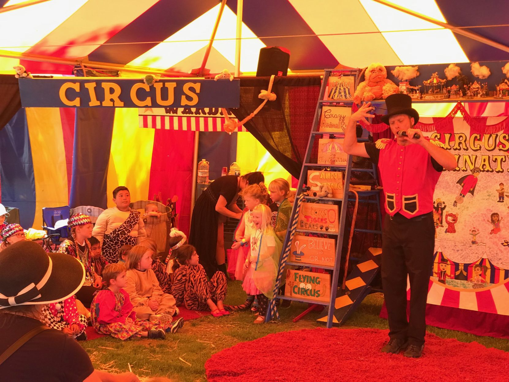 Napa Town & Country Fair 2019